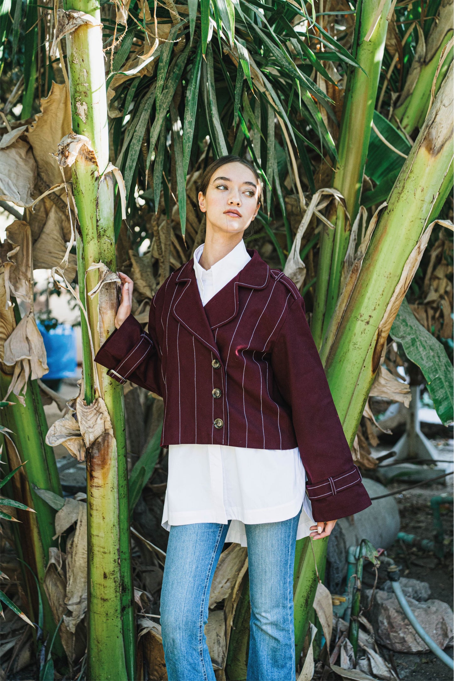 Palm Tree Burgundy Jacket